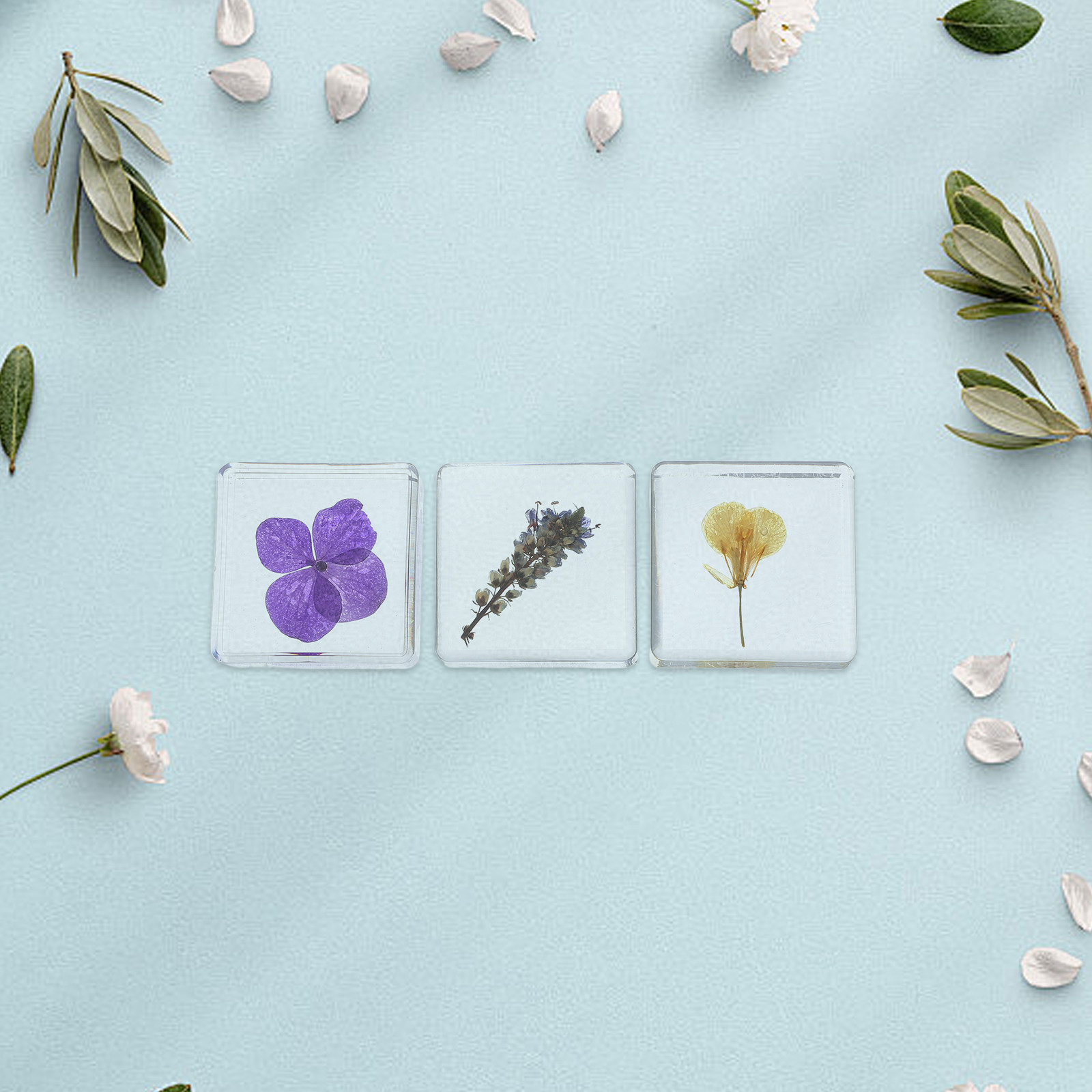 Flower Preservation Resin - ของตกแต่งเรซินรูปตัวอย่างพืช 3 ชิ้น ตัวอย่างพฤกษศาสตร์สำหรับเด็ก ดอกไม้ที่เก็บรักษาไว้ในเรซินหลากสี สำหรับตกแต่งบ้านและสำนักงาน