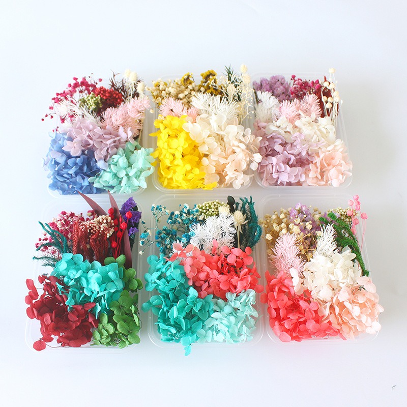 Flower Preservation Resin - ชุดทำดอกไม้แห้ง DIY ของขวัญตามฤดูกาล งานฝีมือสร้างสรรค์ กรอบรูปพัดลม ดอกไม้แห้ง