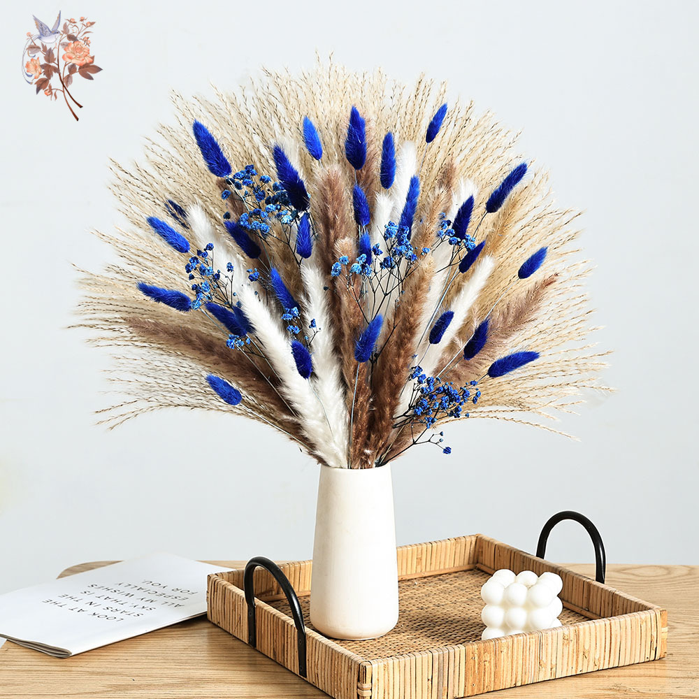 70 Stem Blue Fluffly หางกระต่า - Dried Flower Bulk บทวิจารณ์และราคา