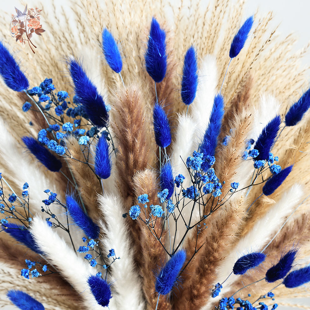 70 Stem Blue Fluffly หางกระต่า - Dried Flower Bulk บทวิจารณ์และราคา