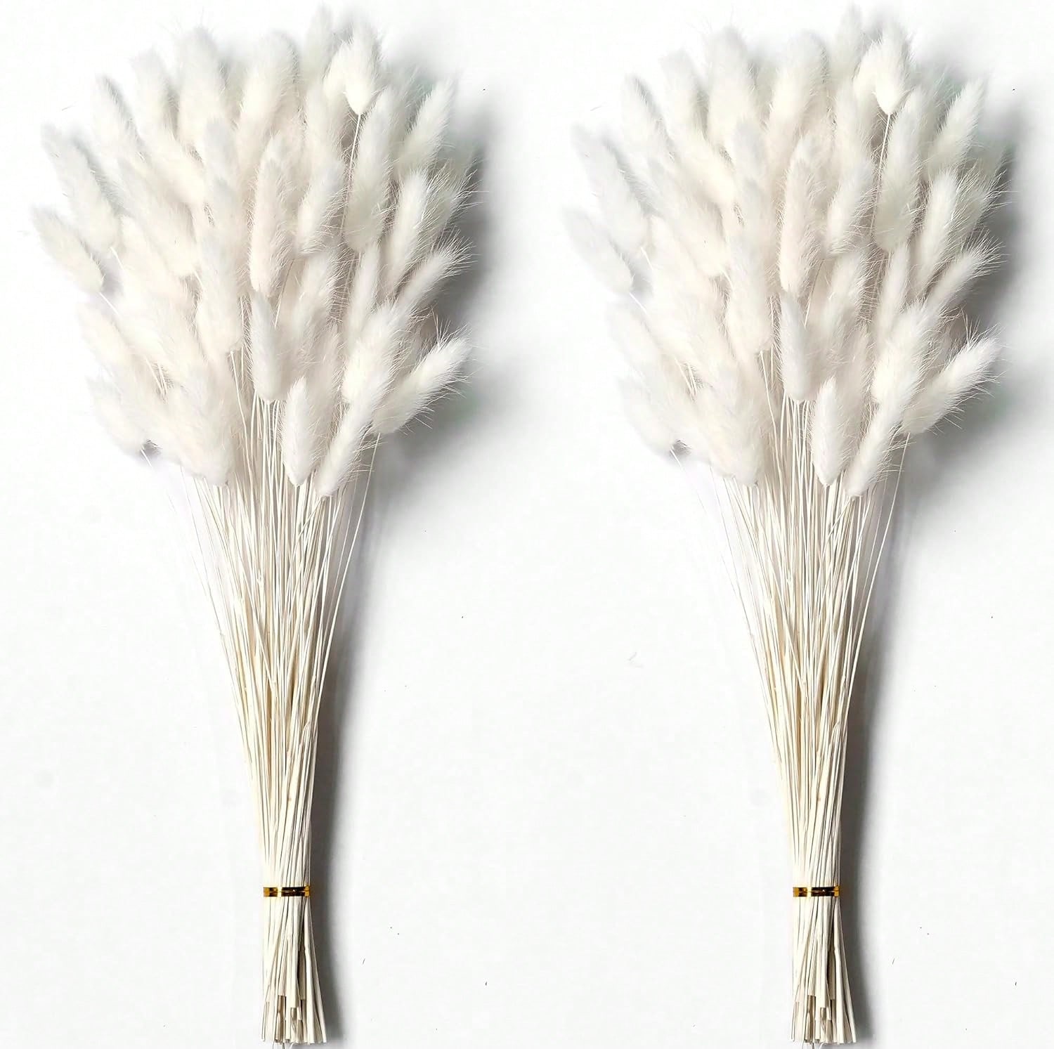 120 PCS แห้ง Pampas Grass Deco - Dried Flower Bulk บทวิจารณ์และราคา