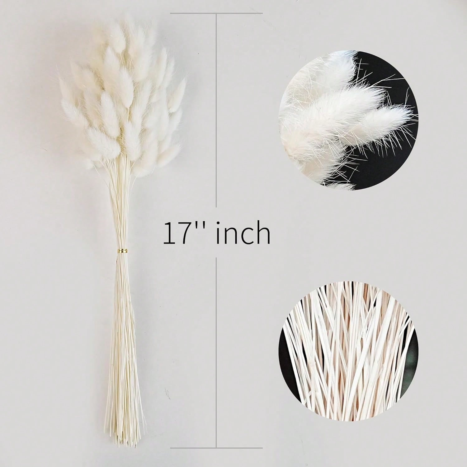 120 PCS แห้ง Pampas Grass Deco - Dried Flower Bulk บทวิจารณ์และราคา