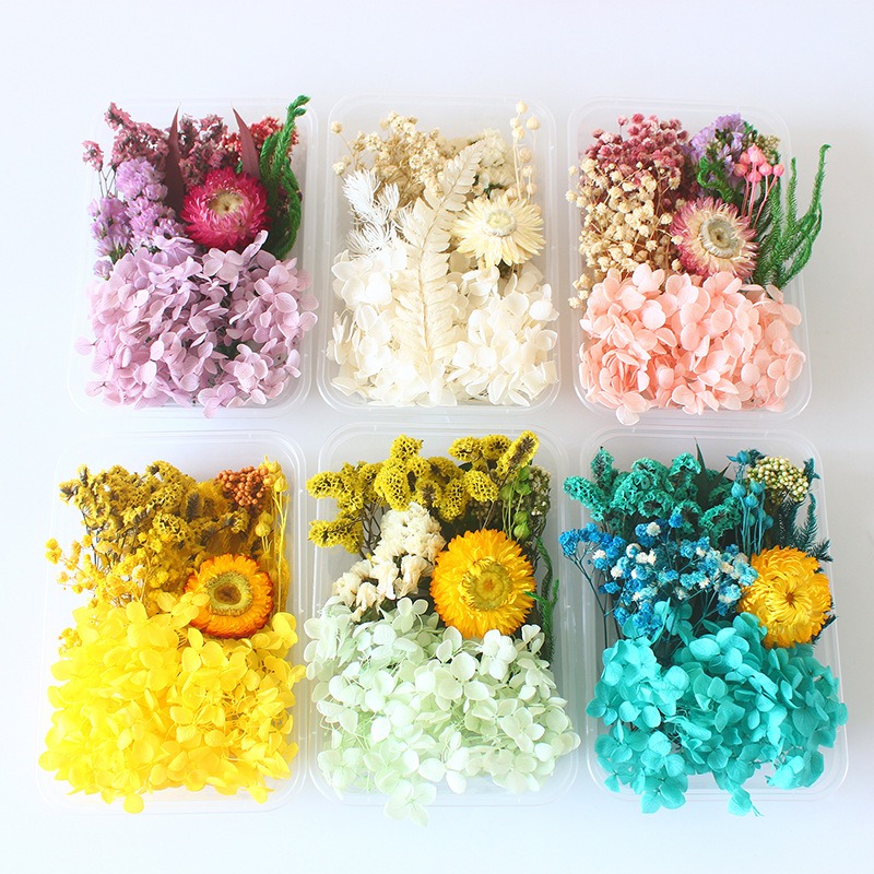 ชุดทำดอกไม้แห้ง DIY ของขวัญตาม - Flower Preservation Resin บทวิจารณ์และราคา