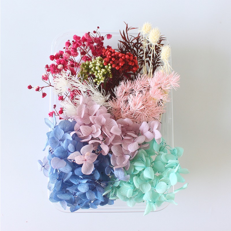 ชุดทำดอกไม้แห้ง DIY ของขวัญตาม - Flower Preservation Resin บทวิจารณ์และราคา