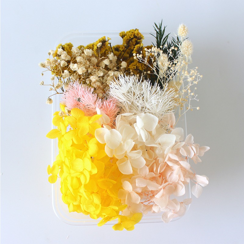 ชุดทำดอกไม้แห้ง DIY ของขวัญตาม - Flower Preservation Resin บทวิจารณ์และราคา