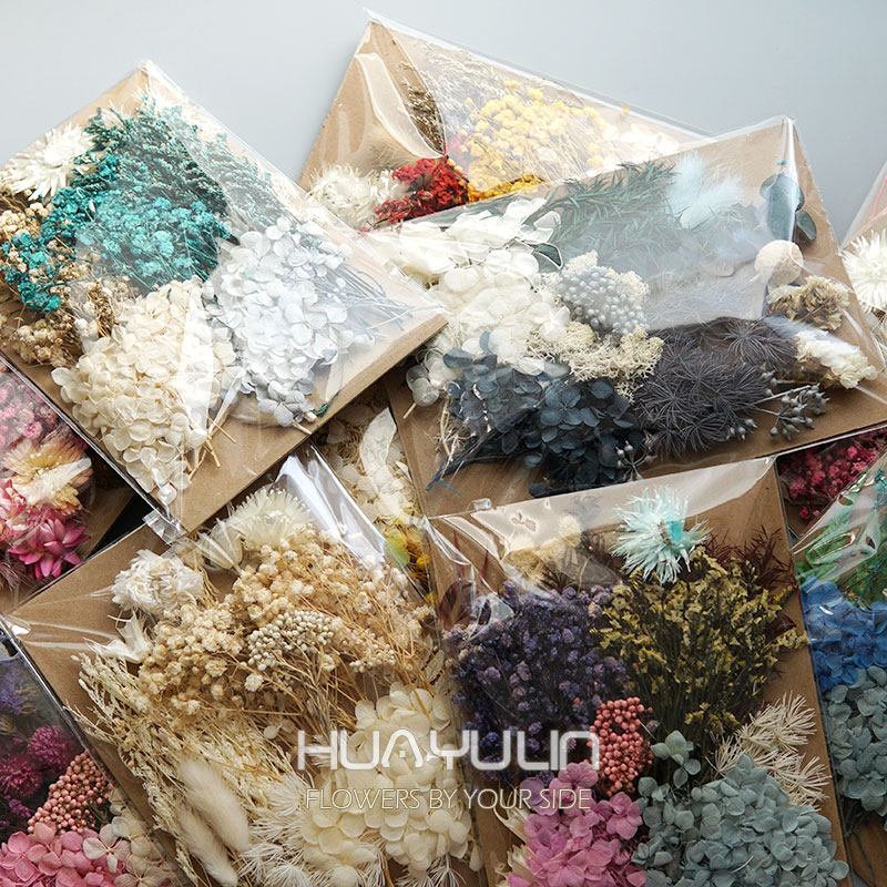 1 แพ็คพืชประดิษฐ์แห้งดอกไม้จริ - Dried Flower Bulk บทวิจารณ์และราคา