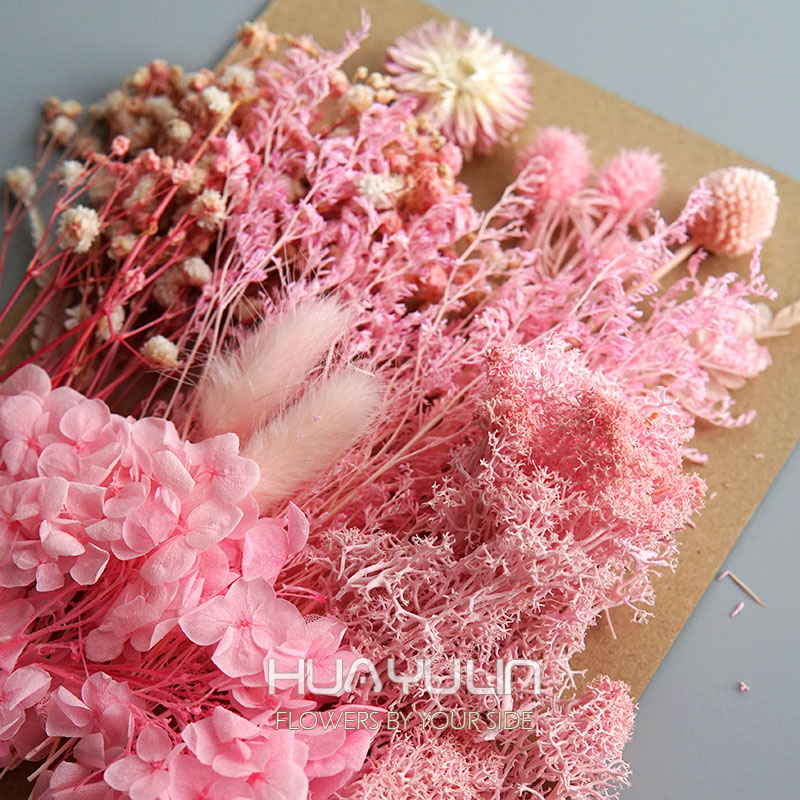 1 แพ็คพืชประดิษฐ์แห้งดอกไม้จริ - Dried Flower Bulk บทวิจารณ์และราคา