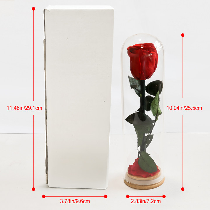 ดอกไม้อมตะเดี่ยวในแก้ว ดอกกุหล - Flower Preservation Resin บทวิจารณ์และราคา