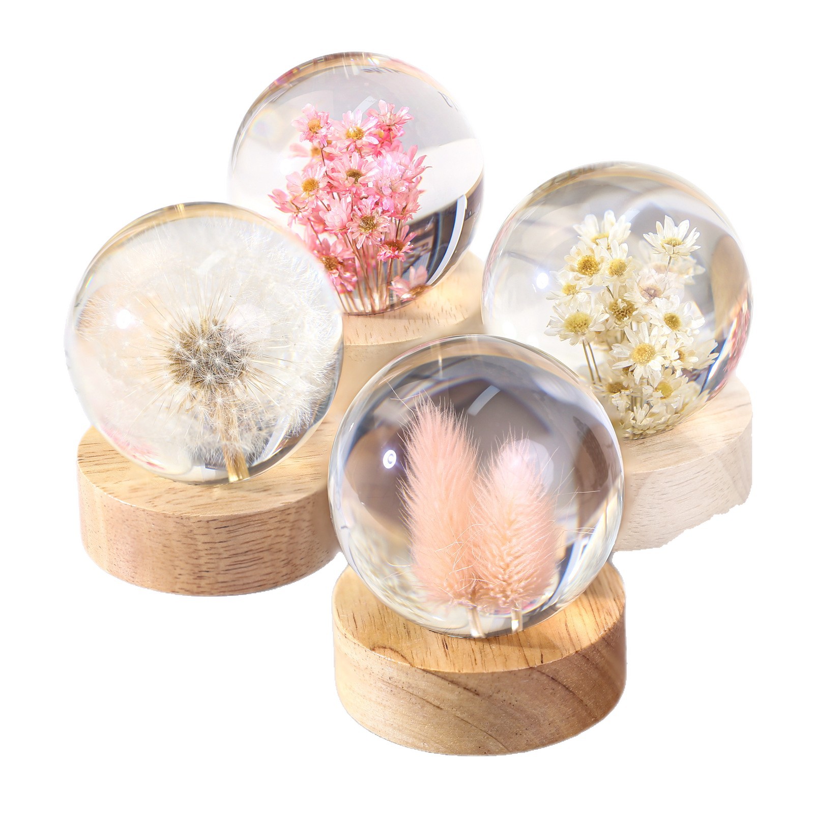 ไฟกลางคืนเรซิ่นดอกแดนดิไลออนขา - Flower Preservation Resin บทวิจารณ์และราคา