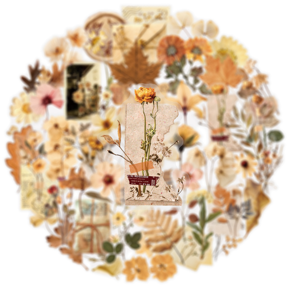 สติกเกอร์ลายใบไม้แห้งใส 50 ชิ้ - Dried Flower Bulk บทวิจารณ์และราคา